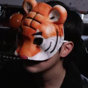 纳屋宠物饲养公寓1-5
