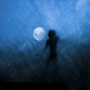 纳屋宠物饲养公寓1-5
